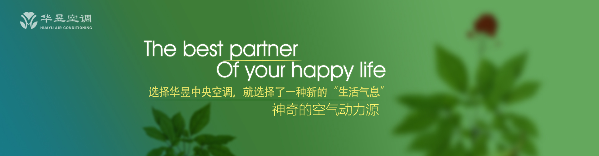 浮皮潦草网